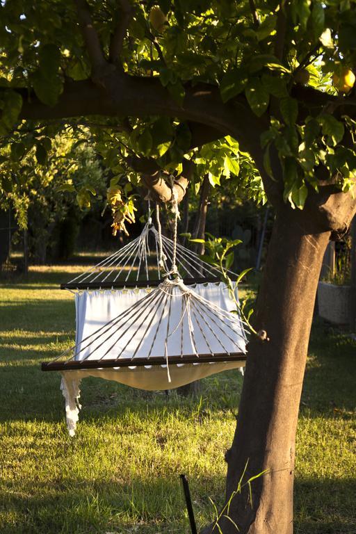Agriturismo Terrenia Villa Trappitello Dış mekan fotoğraf