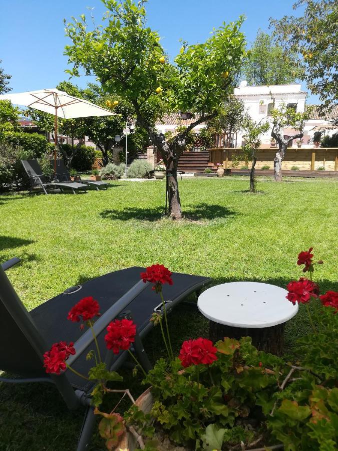 Agriturismo Terrenia Villa Trappitello Dış mekan fotoğraf